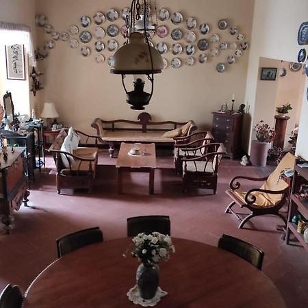 Beatrice House Galle Fort - Homestay Eksteriør billede